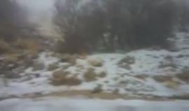 #شاهد الثلوج تغطي جبل الشيخ شمال فلسطين المحتلة ويصل ارتفاعها إلى 20 سم في بعض المناطق