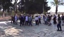 عضو الكنيست المتطرف يهودا كليلك يستبيح المسجد الأقصى وشرطة الاحتلال تحاول إبعاد المرابطين عن المستوطنين المقتحمين