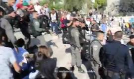 #فيديو يوثق اعتداء قوات الاحتلال على المتضامنين مع غزة عند منطقة باب العامود وسط القدس المحتلة

تصوير: محمد قاروط ادكيدك