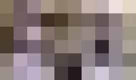 رئيس هيئة الرياضة السعودية تركي آل الشيخ يهاجم المعلق التونسي عصام الشوالي ويصفه بـ "الكلب" فماذا مسؤول تونسي عليه؟