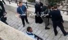 #شاهد الاحتلال يوقف سيدة مقدسية ويفتشها في باب العامود بالقدس