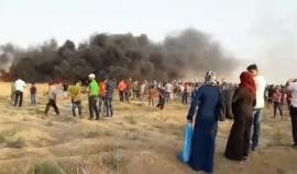 المواجهات المندلعة شرق مدينة غزة في الجمعة 23 من مسيرة العودة الكبرى
#مسيراتنا_مستمرة