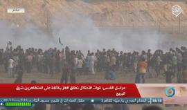 #مباشر تغطية "مسيرات العودة" في المناطق الحدودية لقطاع غزة والتي تحمل اسم جمعة "الوفاء للشهيد محمد طارق يوسف" منفذ عملية الطعن في "مستوطنة آدم"