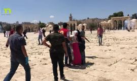 #شاهد الإجرام الصهيوني في الأقصى .. قنابل نحو الأطفال