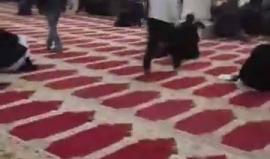 آذان المغرب من المسجد الأقصى المبارك قبل قليل.
#جمعة_النفير_للقدس
#القدس_عاصمه_فلسطين_الابديه