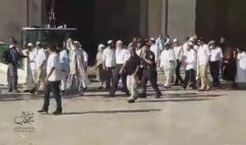 #شاهد عشرات المستوطنين يقتحمون الأقصى احتفالا بما يسمى عيد "الأسابيع" بحماية أمنية مشددة 

تصوير:شهد ابو الحمص