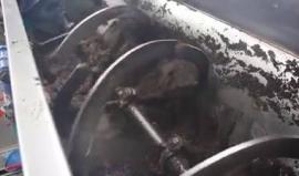 #شاهد عملية استخراج زيت الزيتون في قطاع غزة