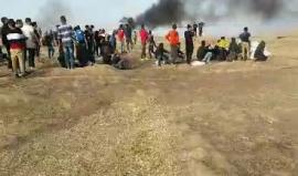 الحدود الشرقية لمدينة غزة 
تصوير عبد الرحمن الكحلوت