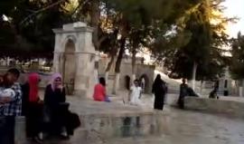 #شاهد #مباشر جوله في المسجد الأقصى المبارك