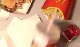 #شاهد
الفرق بين الحقيقي والرسم.. دقة الرسم