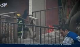 #شاهد .. #بث_مباشر تغطية خاصة وترجمة فورية من القنوات العبرية حول الحرائق المستعرة في الكيان الصهيوني .