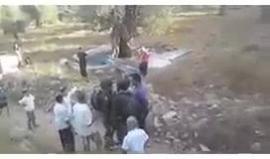 #شاهد مستوطنون يحاولون سرقة زيتون من منطقة تل الرميدة في #الخليل.
تصوير شباب ضد الاستيطان