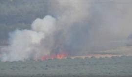 مشاهد حصرية لوكالة شهاب..
#شاهد اشتعال الأحراش بالداخل المحتل شرق مدينة غزة بفعل الطائرات الورقية الحارقة