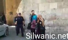 #شاهد| كيف يعتدي جنود الاحتلال على المقدسيات عند باب الأسباط !