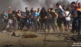 "هذا هو دربي" ..

مشاهد من #جمعة_النذير ضمن مسيرة العودة الكبرى في قطاع غزة أمس