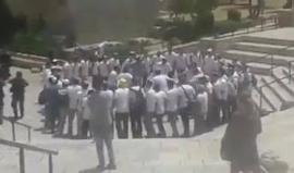 #شاهد مستوطنون يؤدون رقصات تلمودية في منطقة باب العامود بالقدس المحتلة صباح اليوم