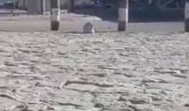 #شاهد اغلاق الاحتلال لحاجز قلنديا العسكري لوجود جسم مشبوه.