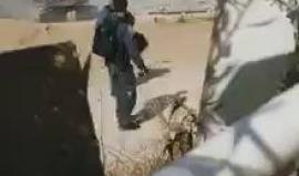 قوات الاحتلال تهدم منزلا في قرية السيد بالنقب المحتل صباح اليوم