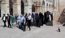 #مباشر جوله في المسجد الاقصى حيث يتعرض لاقتحام مستوطنين