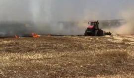 #شاهد اندلاع حريق في منطقة "هشيكميم" في كريات غات بفعل بالون حارق أطلق من غزة