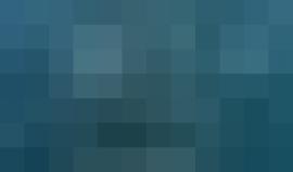 أسماك قرش الحوت تتغذى على الحيوانات والأسماك الصغيرة في جزيرة مافيا بتنزانيا
الفيديو: Simon J Pierce