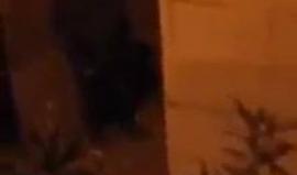 #شاهد
قوات الاحتلال تداهم منزلي الشقيقيين أنيس و سامح مشهور حمامرة في بلدة حوسان غرب بيت لحم