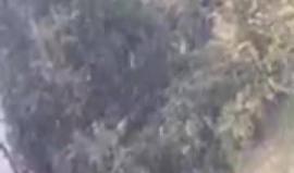 #شاهد | #مباشر تساقط الثلوج في الخليل - فلسطين