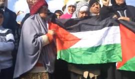 #شاهد #مباشر وقفة في المسجد الأقصى المبارك رفضا لقرار ترامب حول القدس