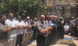 #شاهد | سلطات الاحتلال تمنع الدخول إلى الأقصى عبر باب الاسباط إلا عبر البوابات الإلكترونية بعد فتح أبوابه بشكل جزئي. 

تصوير  ‏‎Hiba Aslan‎‏