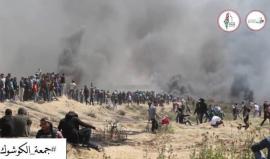 مشاهد من المواجهات مع قوات الاحتلال على حدود #غزة في #جمعة_الكوشوك