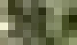 #شاهد: شبان يمطرون قوات الاحتلال بالزجاجات الحارقة خلال مواجهات وسط الخليل
تصوير: مصعب شاور