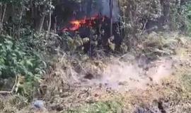 #فيديو زلزال يضرب أكبر جزر "هاواي" الأمريكية تزامنا مع ثوران بركان "كيلاويا"