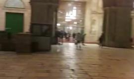 #شاهد #مباشر جولة مسائية في المسجد الاقصى المبارك