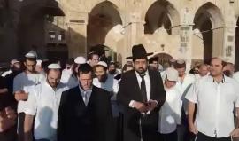 #شاهد أكثر من 150 مستوطناً اقتحموا المسجد الأقصى المبارك منذ صباح اليوم وسط انتشار كبير لقوات الاحتلال.