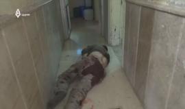 #حلب - العالم يغضب والأشقاء نيام