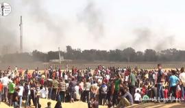 #شاهد 

كلمة النائب الأول لرئيس المجلس التشريعي "أحمد بحر" في خيمة العودة شرق الوسطى
#أنا_راجع
#جمعة_النذير
#مسيرة_العودة_الكبرى