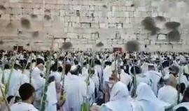 الاف المستوطنين اليهود يقومون باداء طقوسهم وصلواتهم الخاصة " بعيد العرش " في ساحة حائط البراق - المسجد الأقصى المبارك
