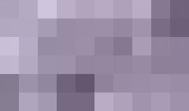 على غرار "سيدي الرئيس".. إطلاق أنشودة "سيدي الشهيد"