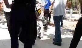 #فيديو 115 مستوطنًا اقتحموا باحات المسجد الأقصى المبارك منذ الصباح