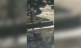 #فيديو لمطاردة الشرطة الأمريكية منفذ عملية الدهس في مدينة منهاتن بنيويورك والتي أدت إلى مقتل 8 أشخاص وجرح نحو 12 آخرين