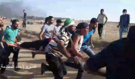 #فيديو 

عدة إصابات برصاص جيش الإحتلال في جمعة الوفاء للجرحى شرق مخيم البريج وسط قطاع غزة .