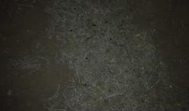 #مباشر 
فعاليات ليلة للمتظاهرين قرب السياج الفاصل شرق للبريج وسط قطاع غزة ضمن مسيرة العودة الكبرى

بث مراسلنا |أحمد المقادمة