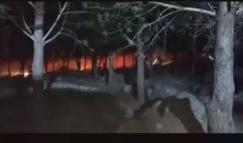 #شاهد اشتعال حرائق في 13 موقعًا بالجليل شمال فلسطين المحتلة ليلا