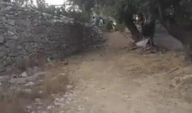 #فيديو مستوطنون يُهاجمون منازل المواطنين في تل الرميده بالخليل

تصوير: ‏‏‏‎Hamoda Alzoghayer‎‏