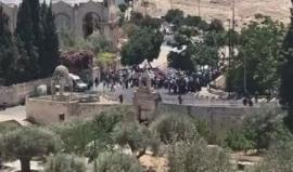 هتافات الشبان في منطقة باب الاسباط #بالقدس_المحتلة بعد منعهم من دخول الأقصى المبارك صلاة الجمعة.
