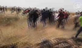 #فيديو نقل اصابات برصاص الاحتلال شرقي خانيونس