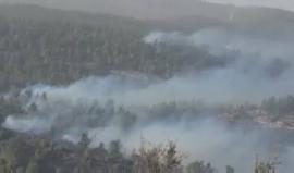 #شاهد الحرائق تمتد وتتكاثر قرب مستوطنة "نافي ايلان" غرب القدس المحتلة