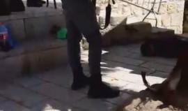 #عاجل .. الإعلام العبري يتحدث عن استشهاد شابين فلسطينيين برصاص قوات الاحتلال قرب المسجد الإبراهيمي في الخليل بدعوى تنفيذهما عملية طعن.