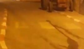 فيديو من اقتحام قوات الاحتلال بلدة برقين في جنين قبل قليل