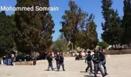 #شاهد حجر يُصيب أحد جنود الاحتلال خلال مواجهات المسجد الأقصى صباح اليوم